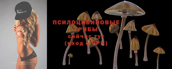 ПСИЛОЦИБИНОВЫЕ ГРИБЫ Абдулино