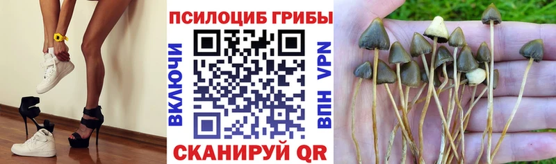 Галлюциногенные грибы GOLDEN TEACHER  магазин продажи   Разумное 